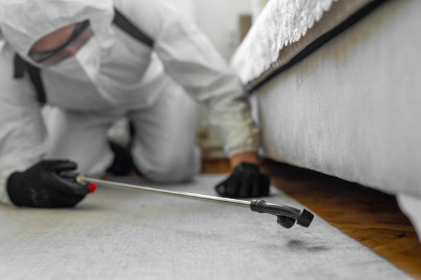 Professional Cockroach Control technician working in Oxford County County, ME